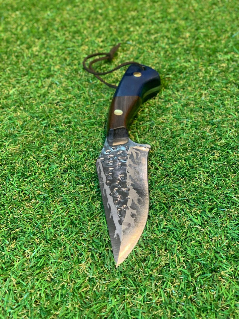 Blue Coreadeira FC-2