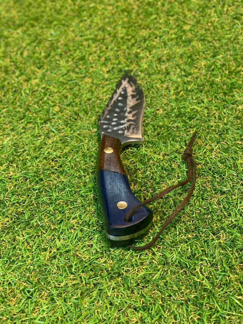 Blue Coreadeira FC-2