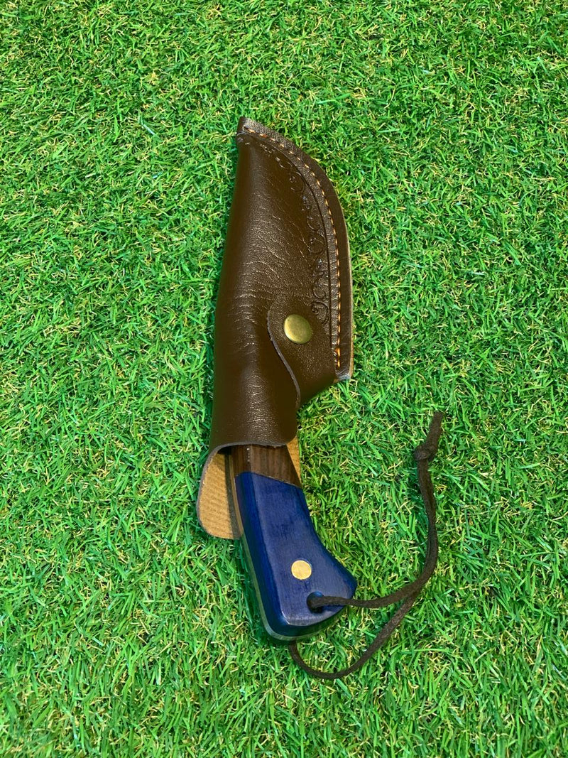 Blue Coreadeira FC-2