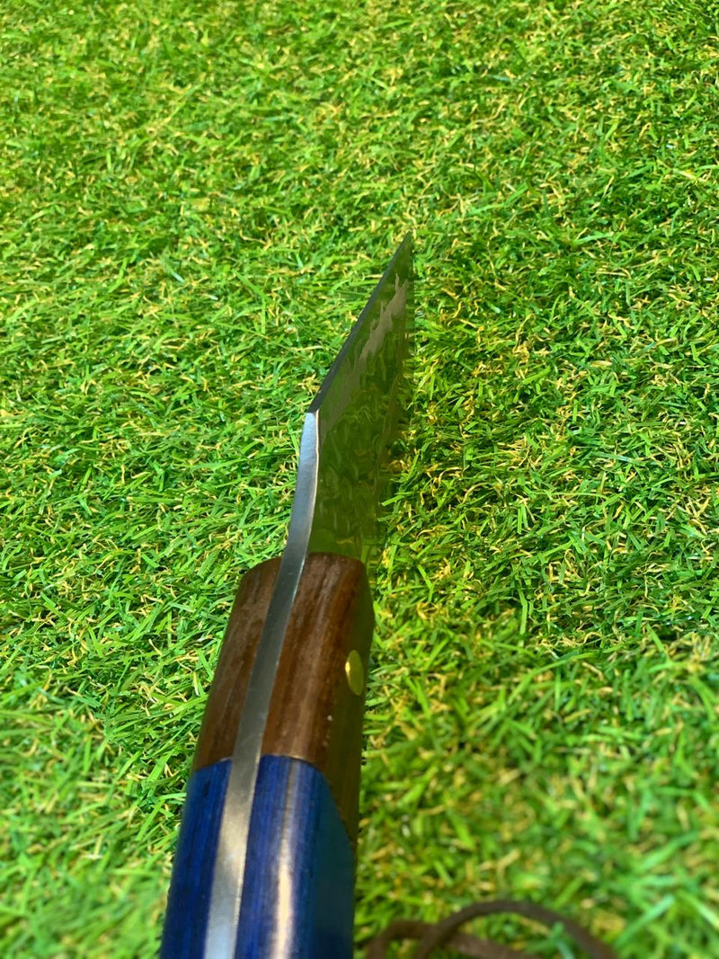 Blue Coreadeira FC-2