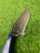 Coreadeira Blue FC-1